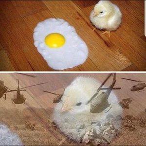 Meet your Posher, Carlos